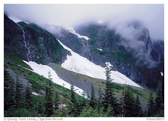 Cascade Pass, North Cascades National Park, Washington.  ()