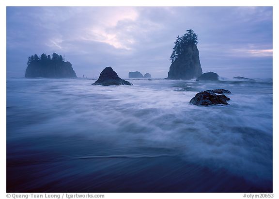 Second Beach, Olympic National Park, Washington.  ()