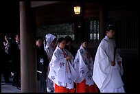 Shinto priest leads traditional wedding at the Meiji-jingu Shrine. Tokyo, Japan ( color)