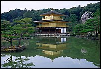 Golden pavilion, Kinkaku-ji Temple. Kyoto, Japan