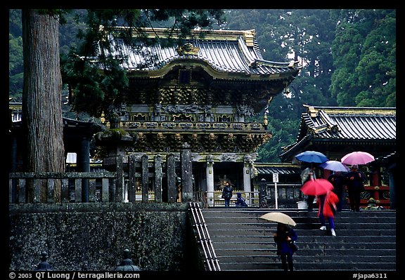 Stairs bellow the main hall of Tosho-gu Shrine on a rainy day. Nikko, Japan (color)