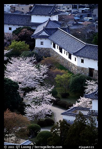Castle grounds with blossoming cherry trees. Himeji, Japan (color)