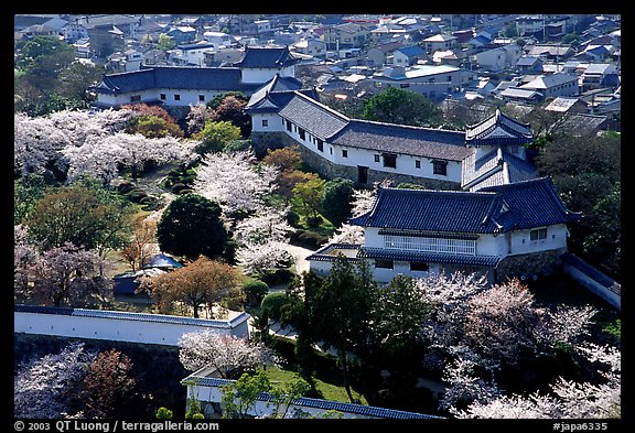 Castle grounds and walls with cherry trees in bloom. Himeji, Japan (color)