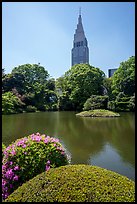 Kami-no-ike Pond and Decomo Tower, once the tallest building in Japan, Shinjuku. Tokyo, Japan ( color)