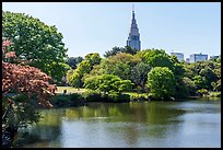 Decomo Tower from Shinjuku Gyoen National Garden. Tokyo, Japan ( color)