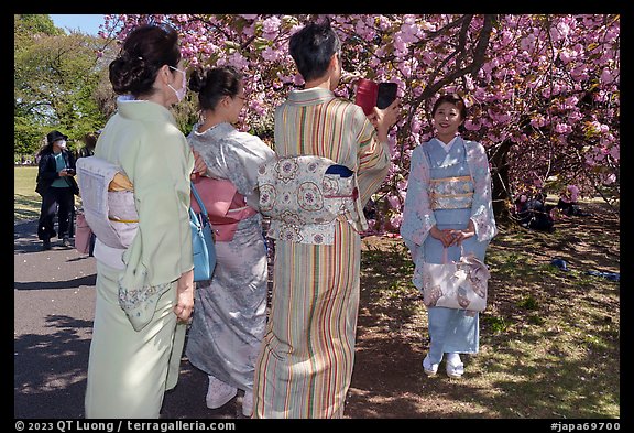 Kimono-clad Japanese women and cherry tree in bloom, Shinjuku Gyoen National Garden. Tokyo, Japan (color)