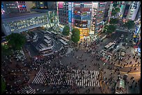 Shiboya crossing at night from above. Tokyo, Japan ( color)