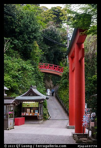 Path and red bridge behind red tori gate. Enoshima Island, Japan (color)