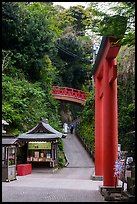Path and red bridge behind red tori gate. Enoshima Island, Japan ( color)