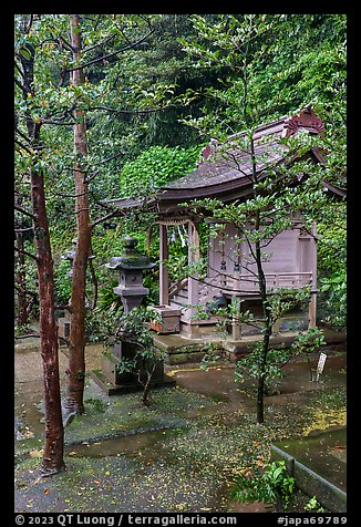 Yasaka Shrine among trees. Enoshima Island, Japan (color)