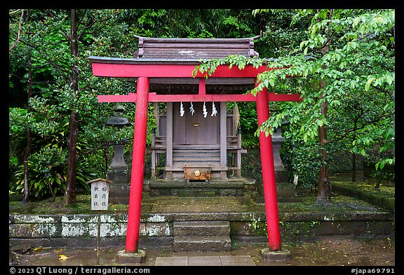 Red Tori gate and shrine. Enoshima Island, Japan (color)