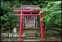Red Tori gate and shrine. Enoshima Island, Japan ( color)