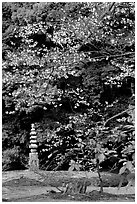 Garden with trees and mosses on the grounds of the Kinkaku-ji Temple. Kyoto, Japan ( black and white)
