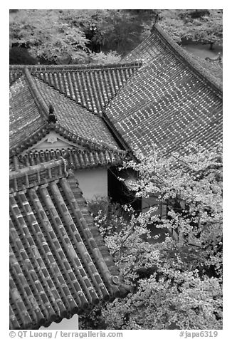 Roofs and cherry blossoms seen from the castle donjon. Himeji, Japan (black and white)