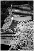 Rooftops and cherry trees seen from the castle donjon. Himeji, Japan ( black and white)