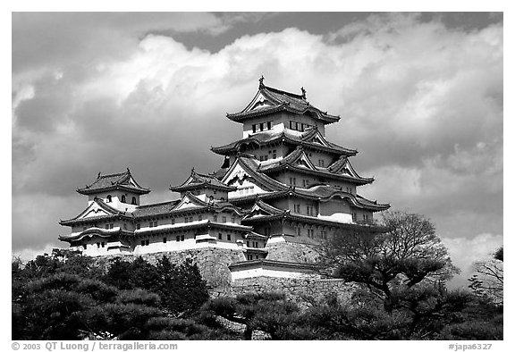Classic lines of the castle. Himeji, Japan (black and white)