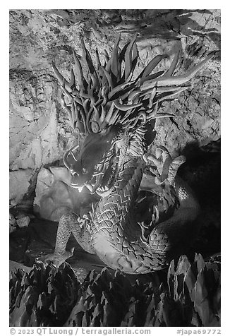 Dragon God Gozuryu, Enoshima Iwaya Caves. Enoshima Island, Japan (black and white)
