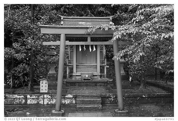 Red Tori gate and shrine. Enoshima Island, Japan (black and white)