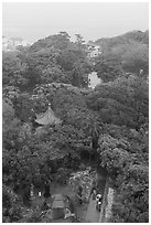 Samuel Cocking Garden pavilions from above. Enoshima Island, Japan ( black and white)