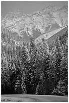 Snowy forest and mountains in storm light seen from the road. Banff National Park, Canadian Rockies, Alberta, Canada (black and white)