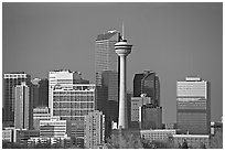 Skyline and tower, late afternoon. Calgary, Alberta, Canada ( black and white)