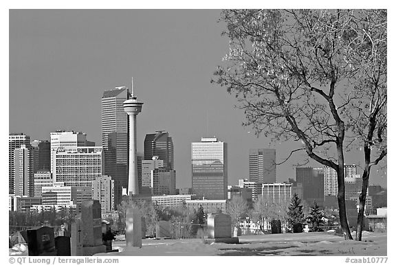 Calgary skyline seen from the cemetery in winter. Calgary, Alberta, Canada