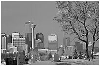 Calgary skyline seen from the cemetery in winter. Calgary, Alberta, Canada ( black and white)