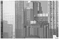 High-rise buildings. Calgary, Alberta, Canada ( black and white)