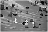 Tombs with crosses in snow. Calgary, Alberta, Canada (black and white)