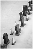 Tombstones in snow. Calgary, Alberta, Canada ( black and white)
