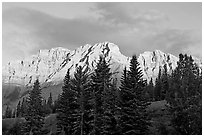 Peaks and conifers near Two Jack Lake, sunrise. Banff National Park, Canadian Rockies, Alberta, Canada (black and white)