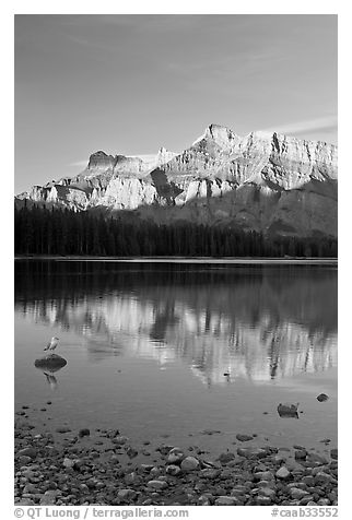 Mount Rundle reflected in Two Jack Lake, early morning. Banff National Park, Canadian Rockies, Alberta, Canada