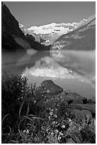 Yellow flowers, Victoria Peak, and Lake Louise, morning. Banff National Park, Canadian Rockies, Alberta, Canada (black and white)