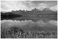 Herbert Lake and the Bow range, morning. Banff National Park, Canadian Rockies, Alberta, Canada (black and white)