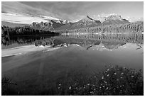 Bow range reflected in Herbert Lake, early morning. Banff National Park, Canadian Rockies, Alberta, Canada ( black and white)