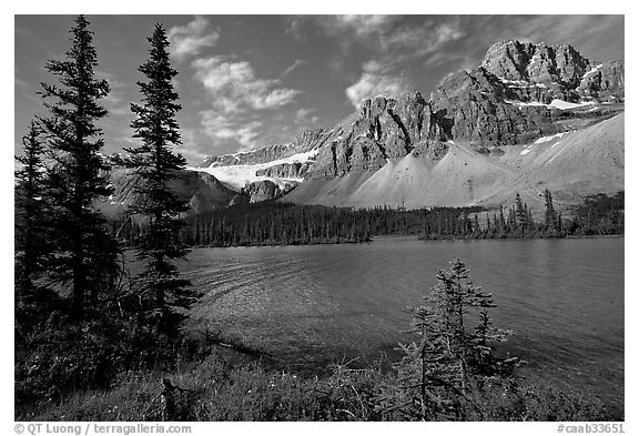 Bow Lake shoreline,  Crowfoot Mountain and Crowfoot Glacier. Banff National Park, Canadian Rockies, Alberta, Canada (black and white)