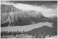 Peyto Lake and Cauldron Peak, mid-day. Banff National Park, Canadian Rockies, Alberta, Canada ( black and white)