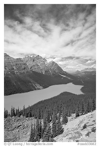 Peyto Lake, turquoise-colored by glacial flour, mid-day. Banff National Park, Canadian Rockies, Alberta, Canada (black and white)