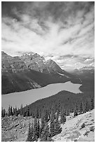 Peyto Lake, turquoise-colored by glacial flour, mid-day. Banff National Park, Canadian Rockies, Alberta, Canada (black and white)
