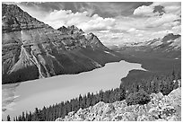 Peyto Lake, with waters colored turquoise by glacial sediments, mid-day. Banff National Park, Canadian Rockies, Alberta, Canada (black and white)