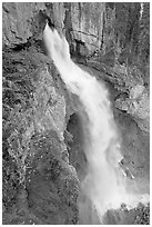 Panther Falls. Banff National Park, Canadian Rockies, Alberta, Canada ( black and white)