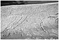 Crevasse patters on Athabasca Glacier. Jasper National Park, Canadian Rockies, Alberta, Canada ( black and white)