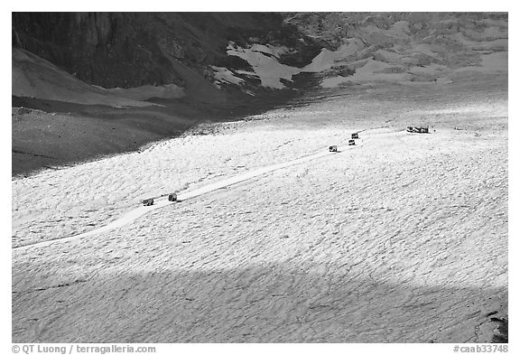 Distant view of snowcoaches transporting tourists on the Athabasca Glacier. Jasper National Park, Canadian Rockies, Alberta, Canada (black and white)