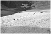 Distant view of snowcoaches transporting tourists on the Athabasca Glacier. Jasper National Park, Canadian Rockies, Alberta, Canada ( black and white)