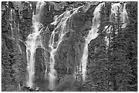 Tangle Falls and trees. Jasper National Park, Canadian Rockies, Alberta, Canada (black and white)