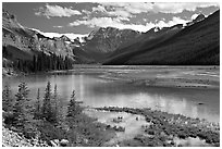 Refecting pool near Beauty Creek, afternoon. Jasper National Park, Canadian Rockies, Alberta, Canada ( black and white)