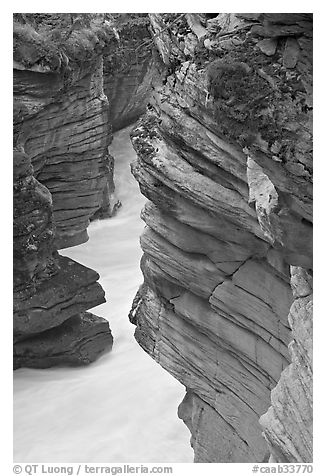 Gorge at the base of Athabasca Falls. Jasper National Park, Canadian Rockies, Alberta, Canada (black and white)