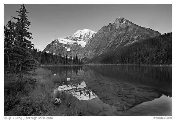 Cavell Lake and Mt Edith Cavell, sunrise. Jasper National Park, Canadian Rockies, Alberta, Canada (black and white)
