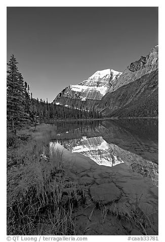 Mt Edith Cavell reflected in Cavell Lake, sunrise. Jasper National Park, Canadian Rockies, Alberta, Canada (black and white)