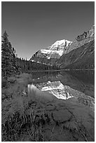 Mt Edith Cavell reflected in Cavell Lake, sunrise. Jasper National Park, Canadian Rockies, Alberta, Canada ( black and white)